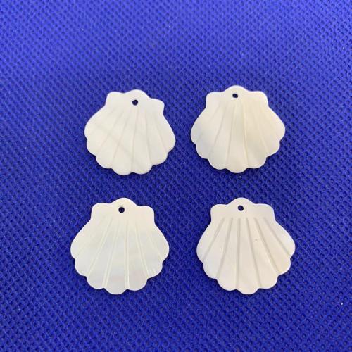 Pendentifs de coquillage naturel, coquille d'eau douce, coquille, DIY & normes différentes pour le choix, blanc, Vendu par PC