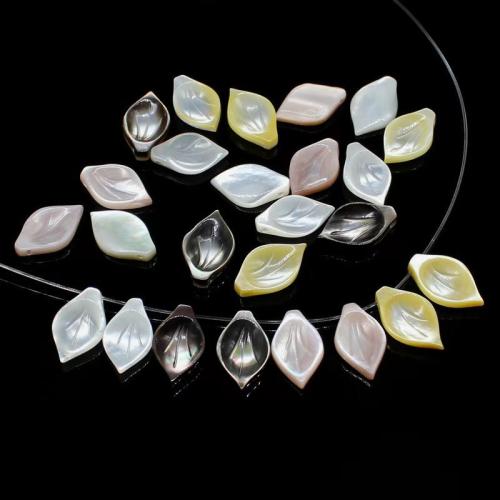 Natural Freshwater Shell Beads, petals, DIY [