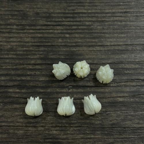 Trochus Beads, Flower, DIY, white 