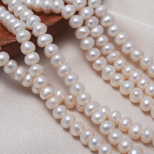 Natural Freshwater Pearl Loose Beads, Flat Round, DIY, white, 5-6mm Approx 0.7mm Approx 36-37 cm 