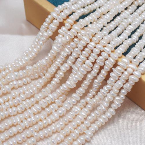 Natural Freshwater Pearl Loose Beads, Flat Round, DIY, white, 3.5-4mm Approx 35-36 cm 