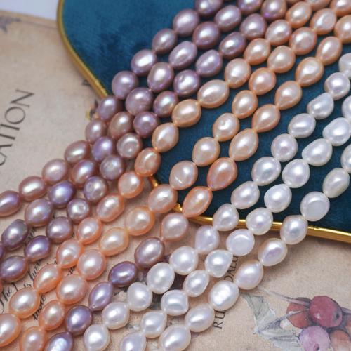 Perles de culture d'eau douce Keishi, perle d'eau douce cultivée, baroque, DIY & normes différentes pour le choix, plus de couleurs à choisir Environ 36-37 cm, Vendu par brin[