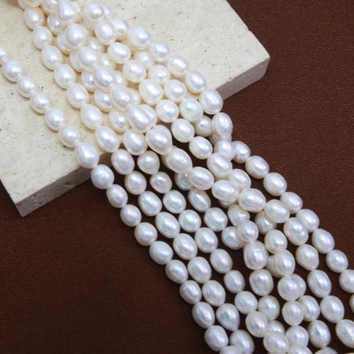 Potato Cultured Freshwater Pearl Beads, DIY, white mm Approx 38 cm 