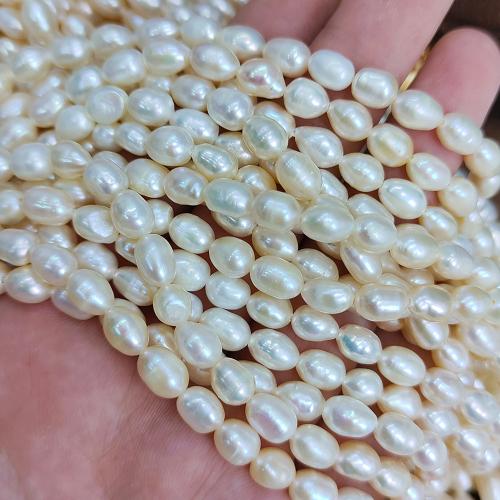 Potato Cultured Freshwater Pearl Beads, DIY, white .5mm Approx 38 cm 