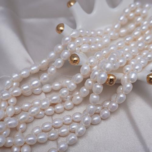 Potato Cultured Freshwater Pearl Beads, DIY white Approx 38 cm 