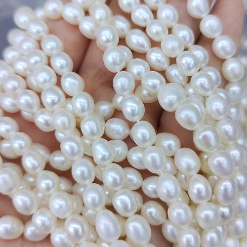 Potato Cultured Freshwater Pearl Beads, DIY, white mm Approx 38 cm [