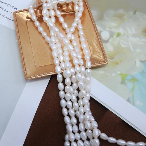 Rice Cultured Freshwater Pearl Beads, DIY, white .5mm Approx 38 cm [