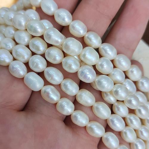 Rice Cultured Freshwater Pearl Beads, DIY, white mm Approx 38 cm [