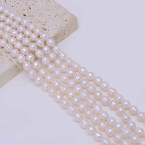 Rice Cultured Freshwater Pearl Beads, DIY, white, 2mm cm [