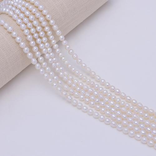 Potato Cultured Freshwater Pearl Beads, DIY, white, about：3-3.5mm Approx 38 cm 