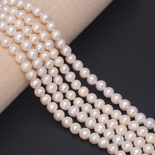 Natural Freshwater Pearl Loose Beads, Slightly Round, DIY, white, about：5-6mm cm 