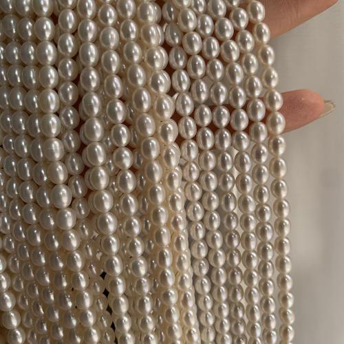 Rice Cultured Freshwater Pearl Beads, DIY, white .5-6mm Approx 38 cm [