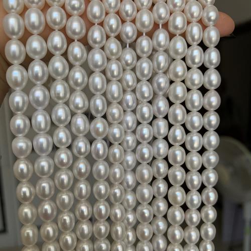 Rice Cultured Freshwater Pearl Beads, DIY, white .5-7mm Approx 38 cm [