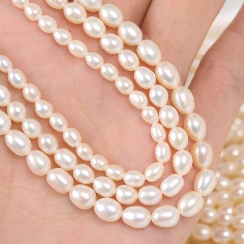 Rice Cultured Freshwater Pearl Beads, DIY white Approx 38 cm 