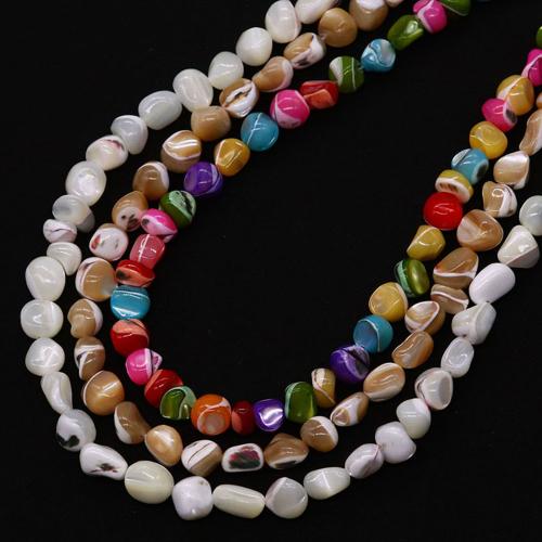 Seashell Beads, Natural Seashell, DIY 7-8mm Approx 38 cm [