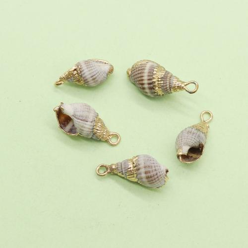 Trompete Shell Messing Anhänger, Trompete Muschel, mit Messing, Strandschnecke, goldfarben plattiert, DIY, 7x17mm, verkauft von PC[