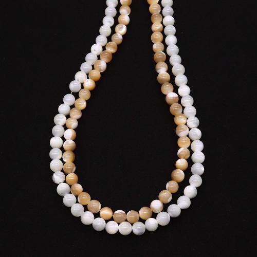 Seashell Beads, Natural Seashell, Round, DIY Approx 38 cm [