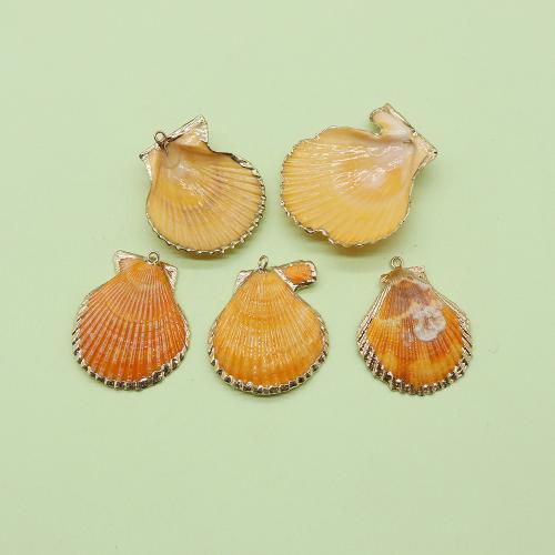 Pendentifs de coquillage naturel, coquille, avec laiton, coquille, Placage de couleur d'or, DIY, Jaune x40mm, Vendu par PC