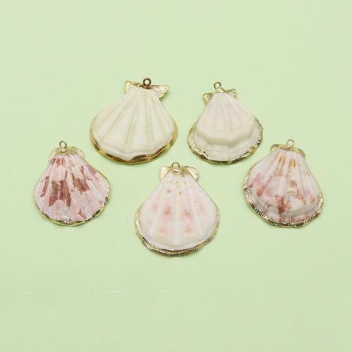 Pendentifs de coquillage naturel, coquille, avec laiton, coquille, Placage de couleur d'or, DIY x40mm, Vendu par PC