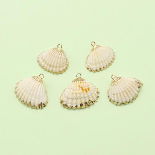 Pendentifs de coquillage naturel, coquille, avec laiton, coquille, Placage de couleur d'or, DIY x Vendu par PC