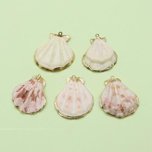 Pendentifs de coquillage naturel, coquille, avec laiton, coquille, Placage de couleur d'or, DIY x40mm, Vendu par PC