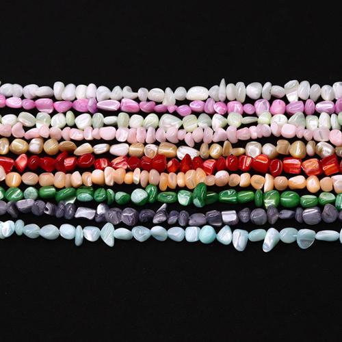 Seashell Beads, Natural Seashell, DIY mm Approx 38 cm [