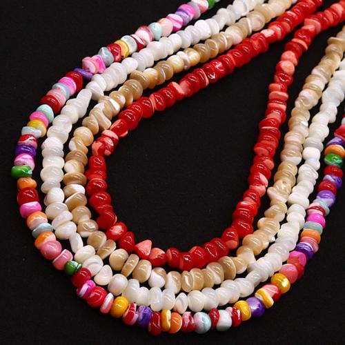 Seashell Beads, Natural Seashell, DIY mm Approx 38 cm [