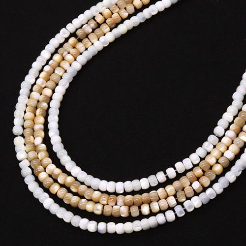 Seashell Beads, Natural Seashell, DIY Approx 38 cm [