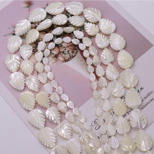 Perles de coquille de mer, coquillage, feuille, DIY & normes différentes pour le choix, blanc Environ 38 cm, Vendu par brin