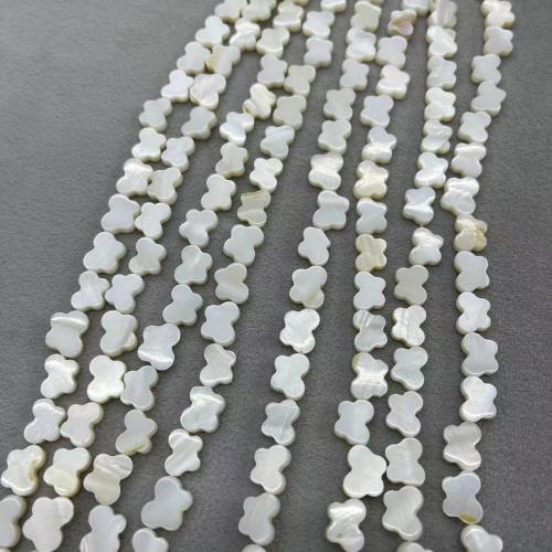 Perles en coquille naturel, coquille d'eau douce, papillon, DIY, blanc Environ Vendu par brin