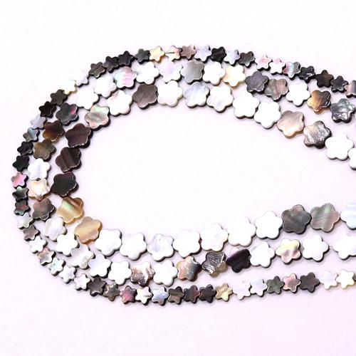 Perles de coquille de mer, coquillage, fleur, DIY & normes différentes pour le choix Environ 38 cm, Vendu par brin