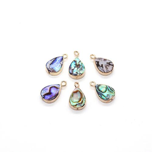 Abalone Shell Pendants, Teardrop, gold color plated, DIY [