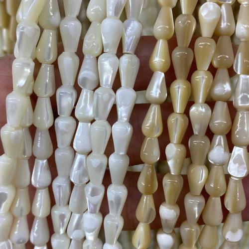 Natural Freshwater Shell Beads, DIY Approx [