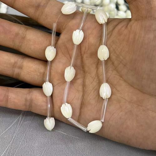 Trochus Beads, Flower, DIY white 