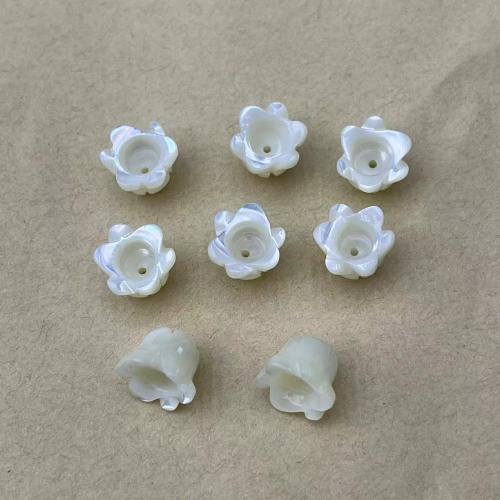 Trochus Beads, Flower, DIY, white 