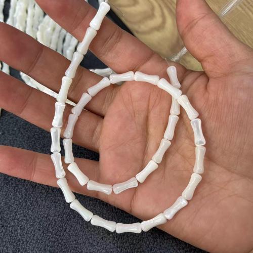 Trochus Beads, Bamboo, DIY, white Approx 