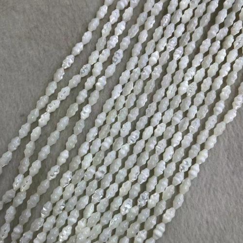 Trochus Beads, DIY, white Approx 