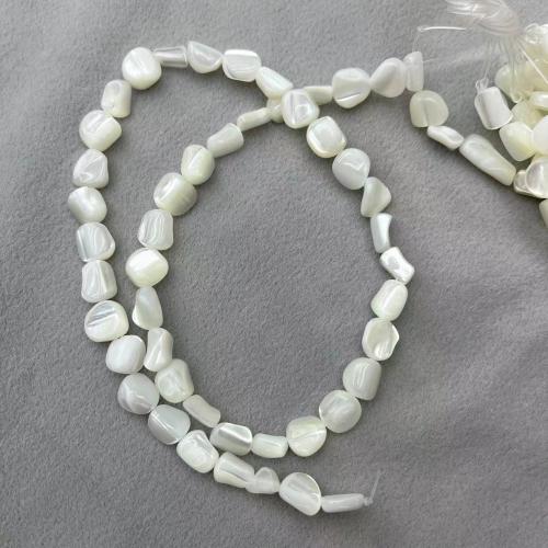 Trochus Beads, irregular, DIY, white mm, Approx 