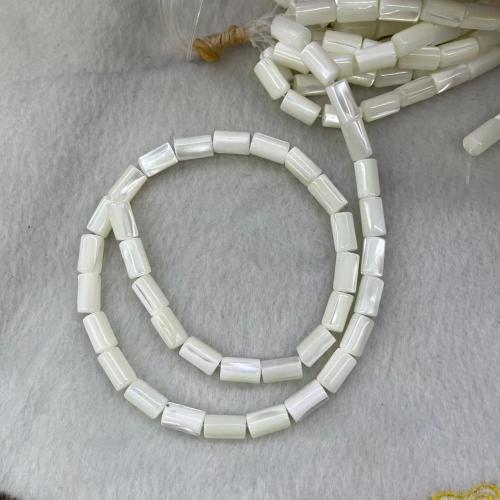 Trochus Beads, Column, DIY, white Approx 