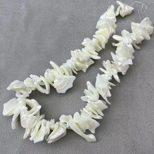 Trochus Beads, irregular, DIY, white mm, Approx 