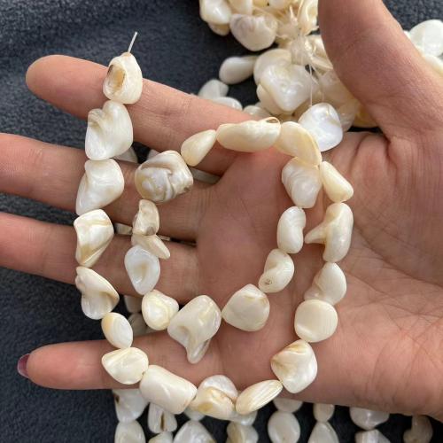 Природные стеклянные бусы, Пресноводные оболочка, Комкообразная форма, DIY mm, Приблизительно 29ПК/Strand, продается Strand