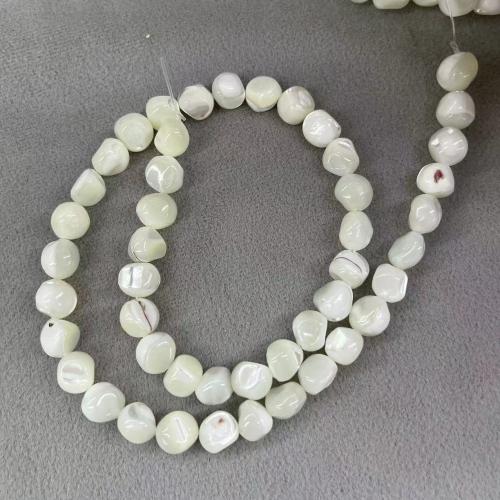 Trochus Beads, DIY, white, 8mm, Approx 