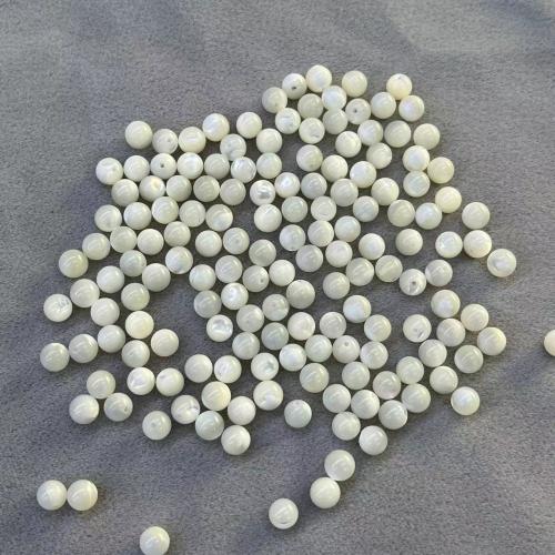 Trochus perles, coquille, Rond, DIY & normes différentes pour le choix, blanc, Vendu par sac