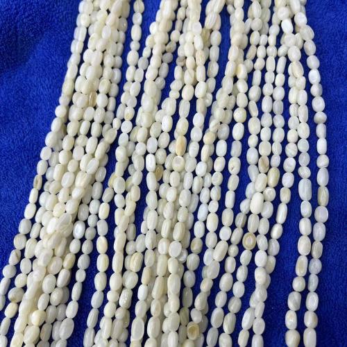 Природные стеклянные бусы, Ракушка, Овальная форма, DIY, белый, 5mm, Приблизительно 56ПК/Strand, продается Strand