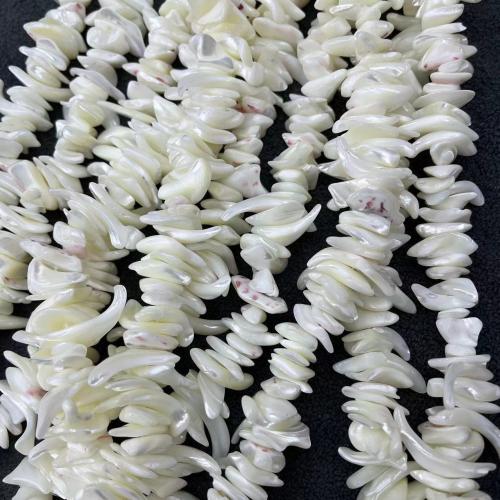 Trochus perles, Haut Coque, DIY, blanc MM, Environ Vendu par brin