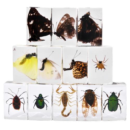 résine décoration, rectangle, 12 pièces & unisexe & transparent Vendu par fixé