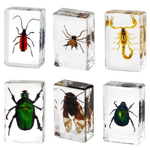 résine décoration, rectangle, 6 pièces & unisexe & transparent Vendu par fixé