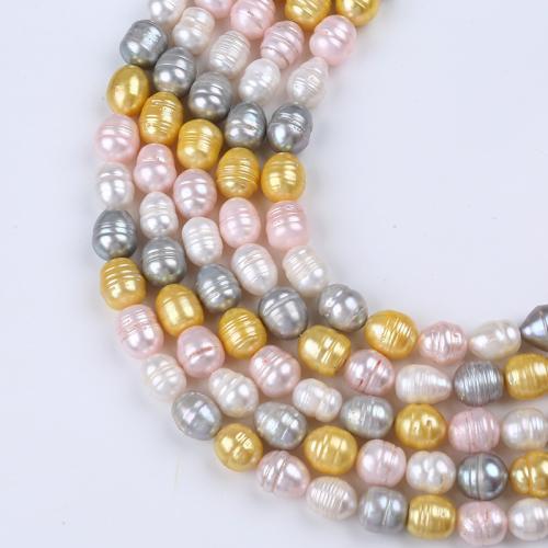 Perle comme Pommes de terre perles d'eau douce, perle d'eau douce cultivée, pomme de terre, teints & DIY, couleurs mélangées, About：10-11mm, Vendu par brin