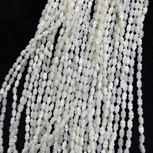 Trochus perles, coquillage, DIY, blanc Environ Vendu par brin