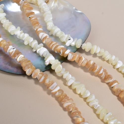 Trochus perles, coquille, Irrégulière, DIY, plus de couleurs à choisir, 8mm cm, Vendu par brin